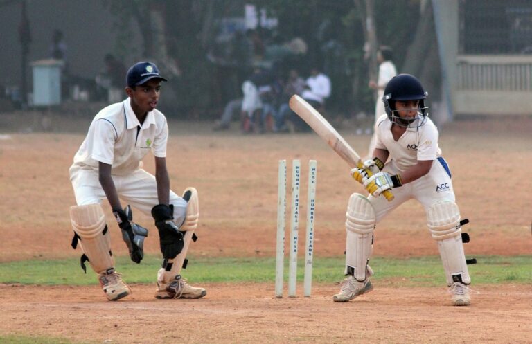 Cricket and sustainable transport options: Encouraging fans to carpool and use public transit