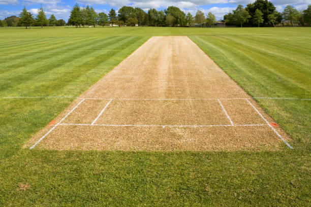 The impact of cricket on indigenous rights: Advocating for tribal communities