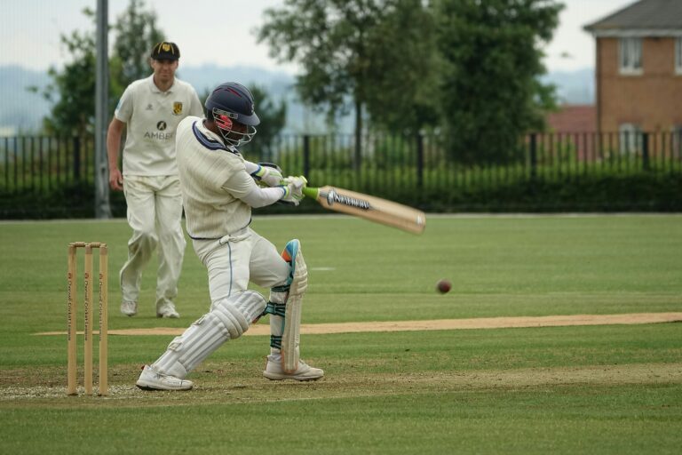 Cricket Academies: Nurturing the Future Stars