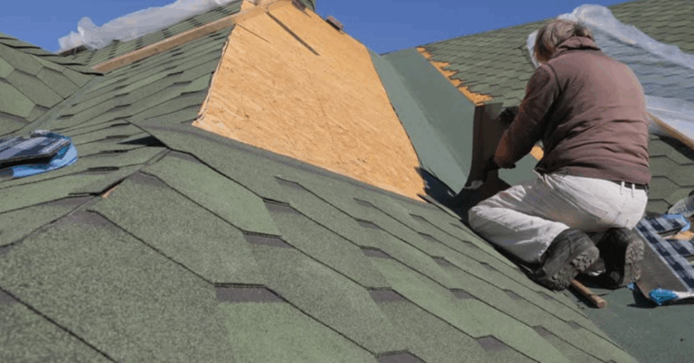 The Importance of Professional Roof Cleaning in Bronx NY